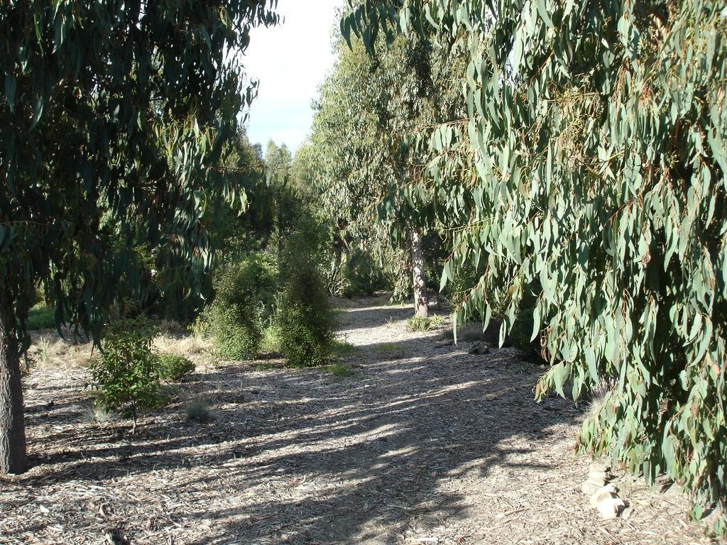 North Loburn Posto Bello מראה חיצוני תמונה